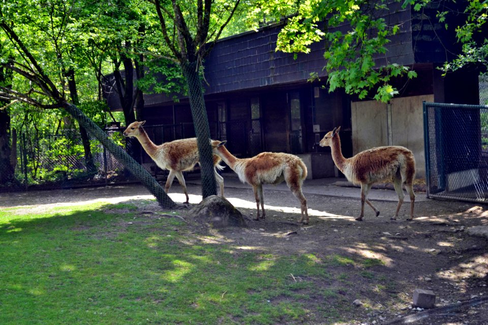 tierpark