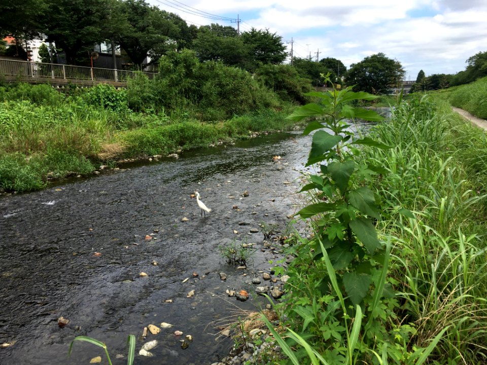 Seijo in Setagaya-ku