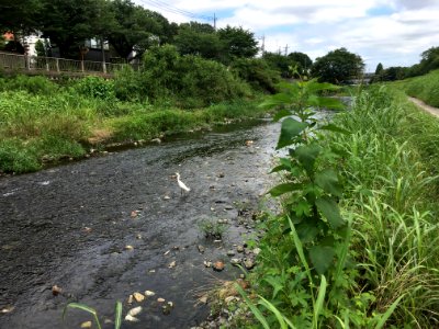 Seijo in Setagaya-ku