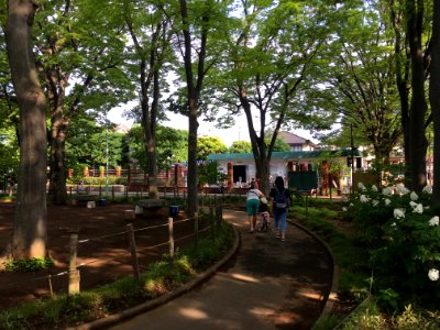 Oizumi-kotsu Park in Nerima-ku