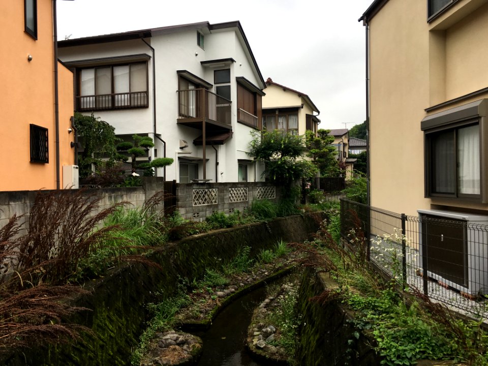 Nogawa River in Izumicho, Kokubunji-shi
