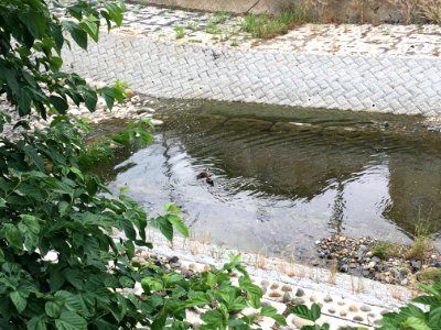 Nakazato in Kiyose-shi