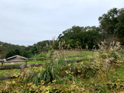 Noyamakita-Rokudoyama Park in Mitsugi, Musashimurayama-shi
