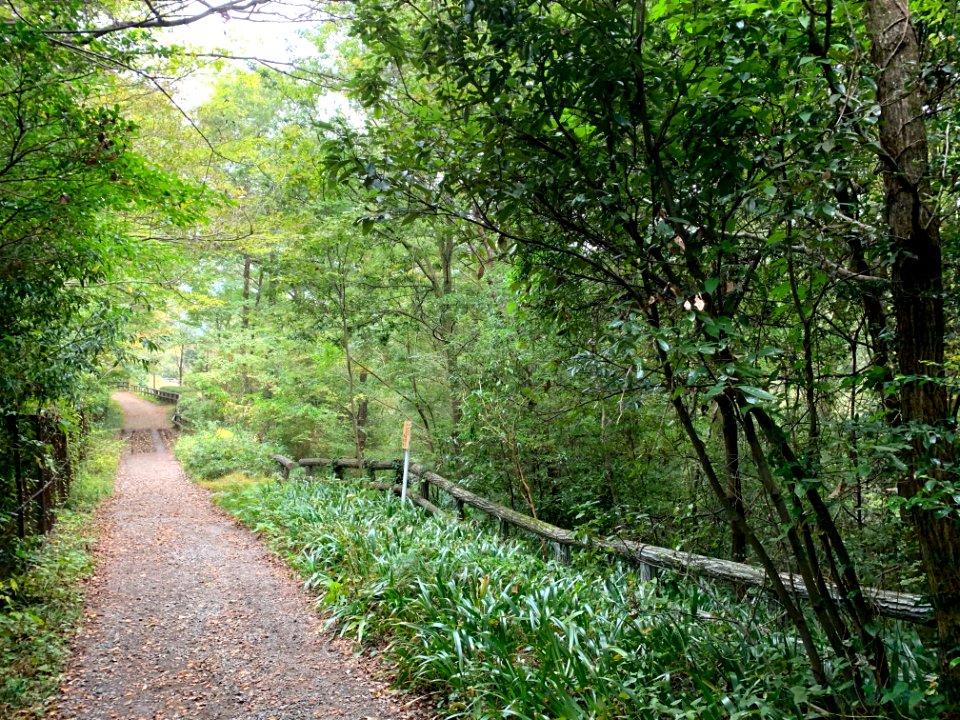 Noyamakita-Rokudoyama Park in Musashimurayama-shi