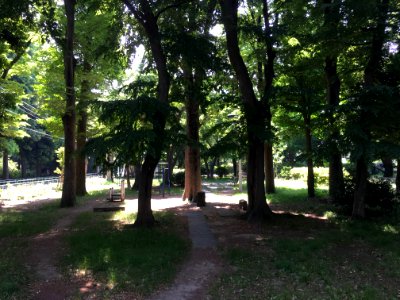 Oizumigakuencho in Nerima-ku