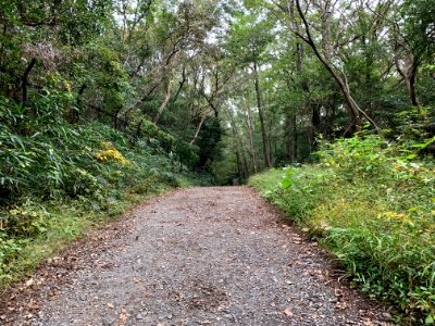 Noyamakita-Rokudoyama Park in Musashimurayama-shi