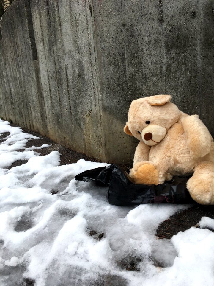 Sad teddy bear