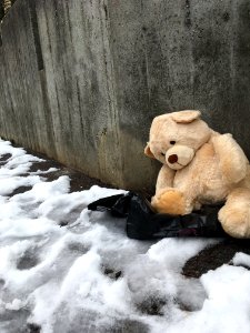 Sad teddy bear photo