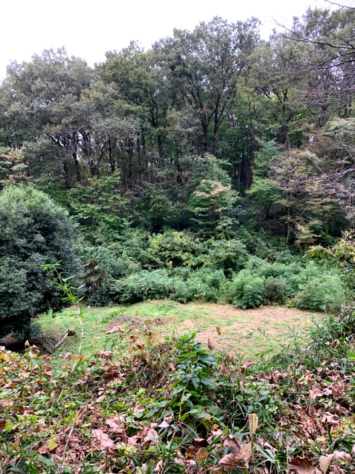 Noyamakita-Rokudoyama Park in Musashimurayama-shi