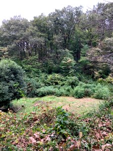 Noyamakita-Rokudoyama Park in Musashimurayama-shi
