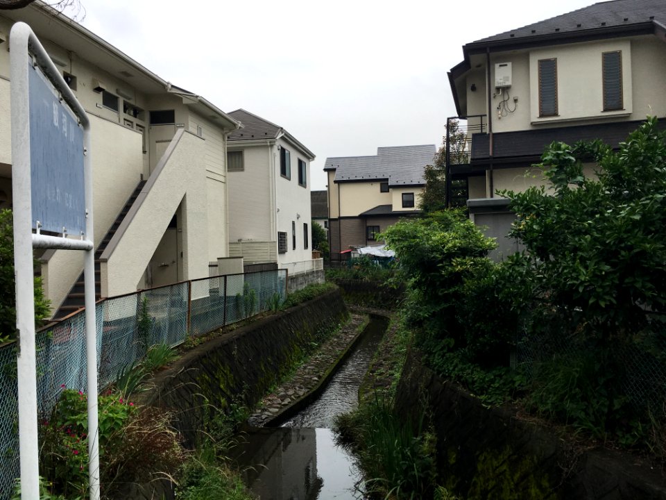 Nogawa River in Izumicho, Kokubunji-shi
