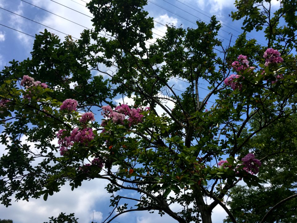 Omaru Park in Inagi-shi