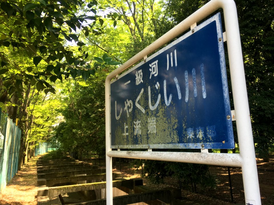 Koganei Park in Kodaira-shi