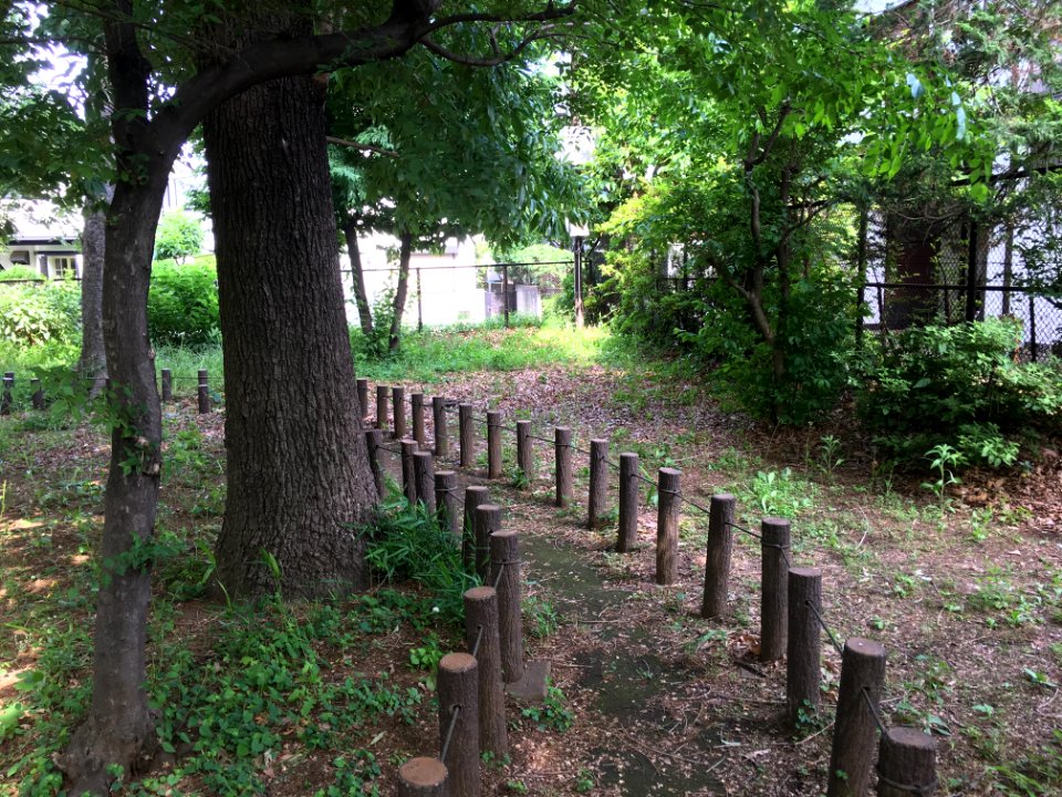 Kurinoki Forest Park in Oizumigakuencho, Nerima-ku