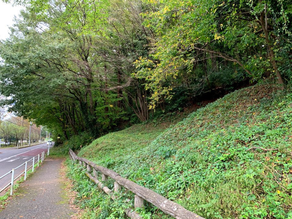 Noyamakita-Rokudoyama Park in Mitsugi, Musashimurayama-shi