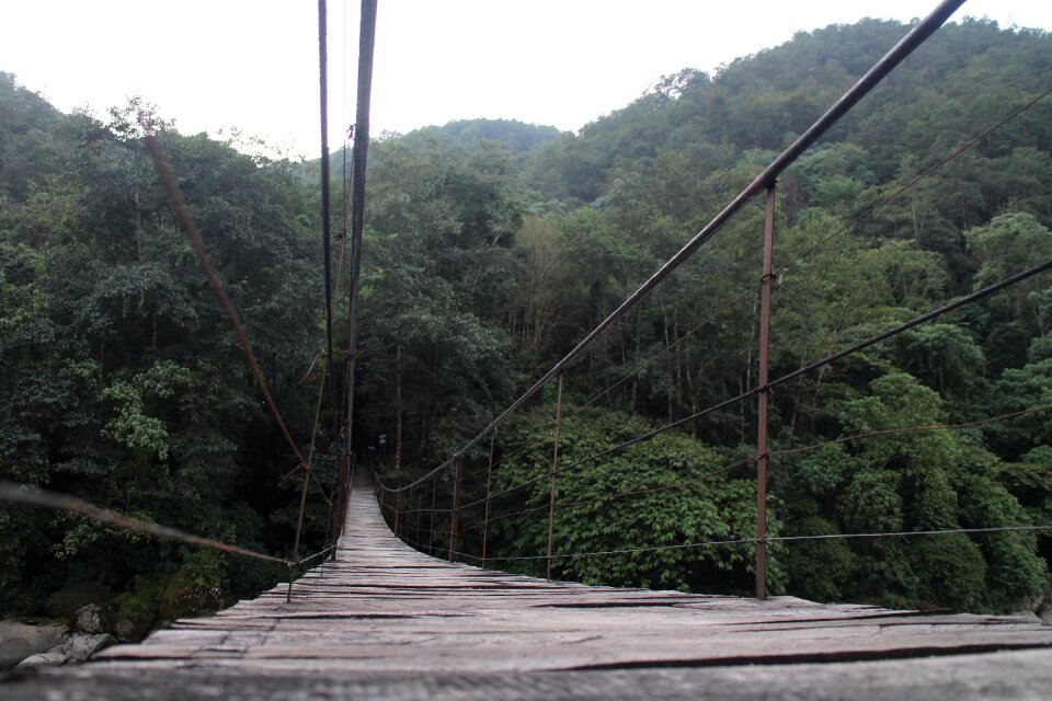 River hanging bridge wooden bridge