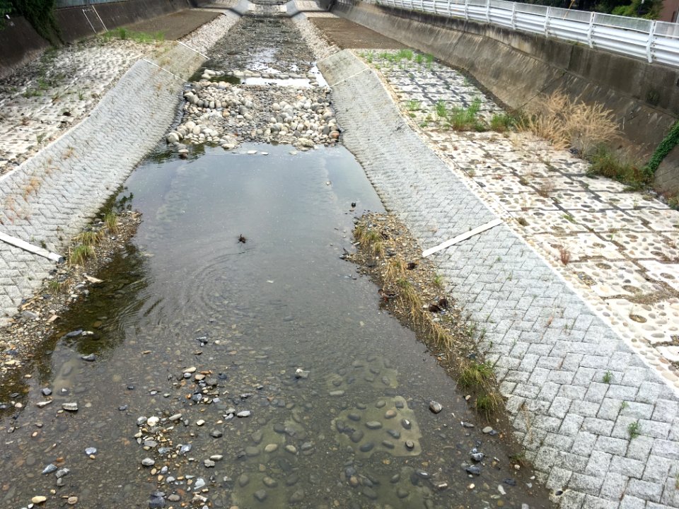Nakazato in Kiyose-shi
