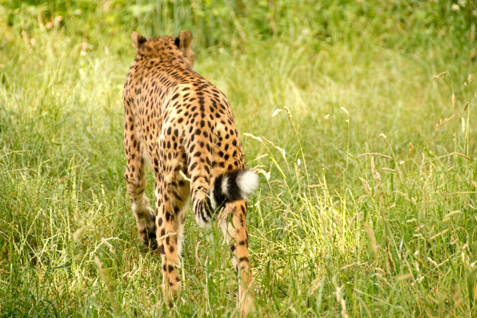 Nature vacations national park