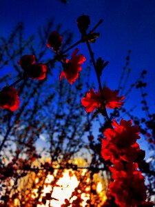Beauty artistic conception the rising sun