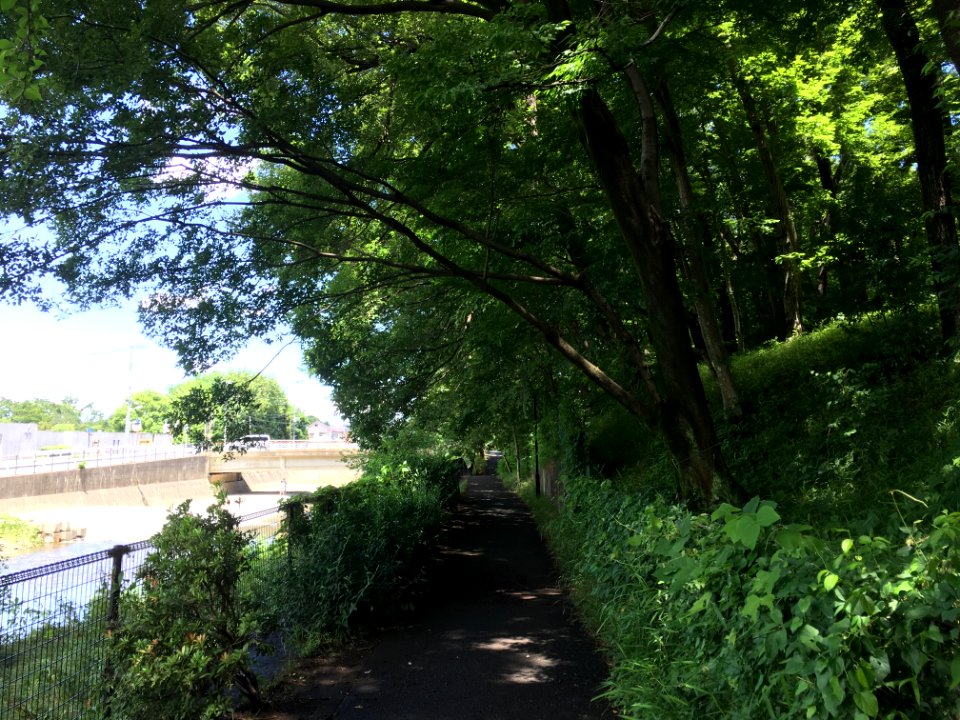 Kiyose Nakazato Conservation Area in Kiyose-shi