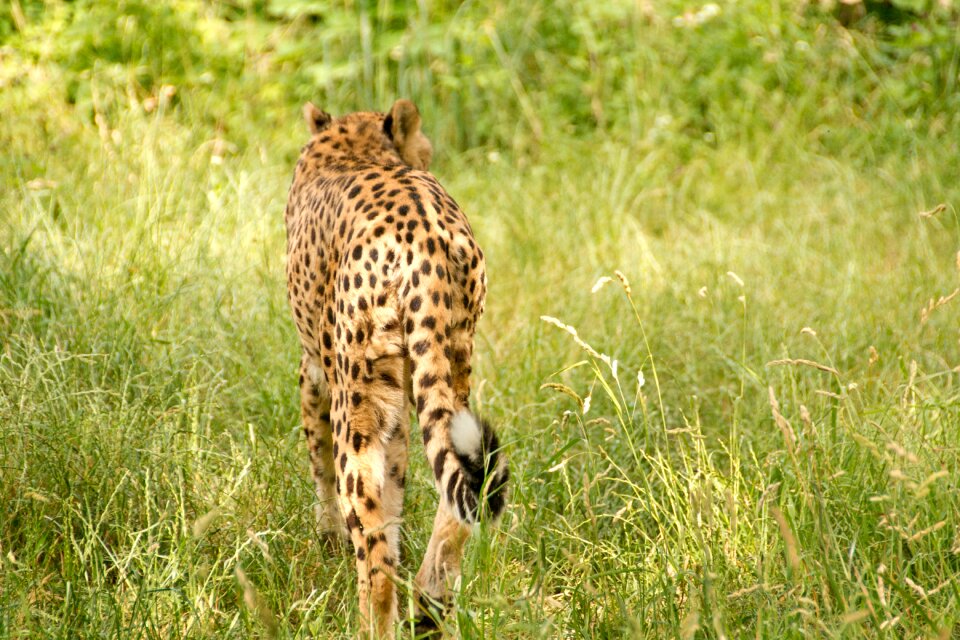 Nature vacations national park