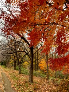 Akabane Nature Observatory Park in Kita-ku