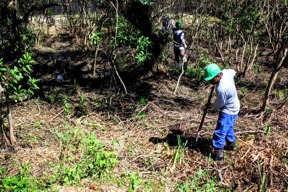 31.10.2017 - Obras no local do futuro Parque Linear