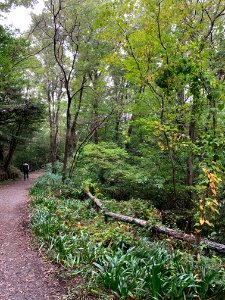 Noyamakita-Rokudoyama Park in Musashimurayama-shi
