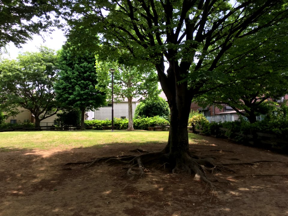 Nishioizumi in Nerima-ku