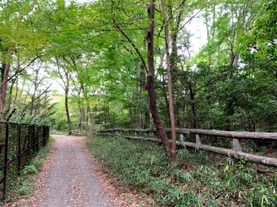 Noyamakita-Rokudoyama Park in Mitsugi, Musashimurayama-shi