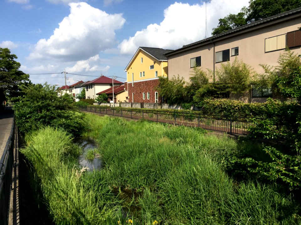 Ochiai River in Minamisawa, Higashikurume-shi