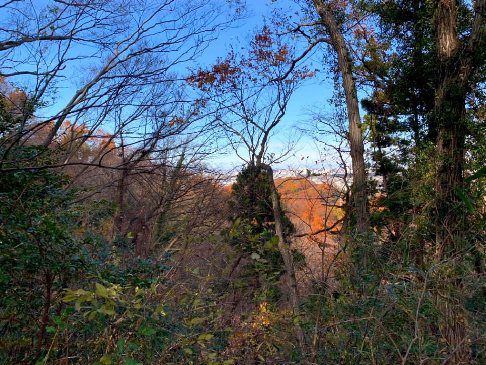 Shiroyama Park in Inagi-shi