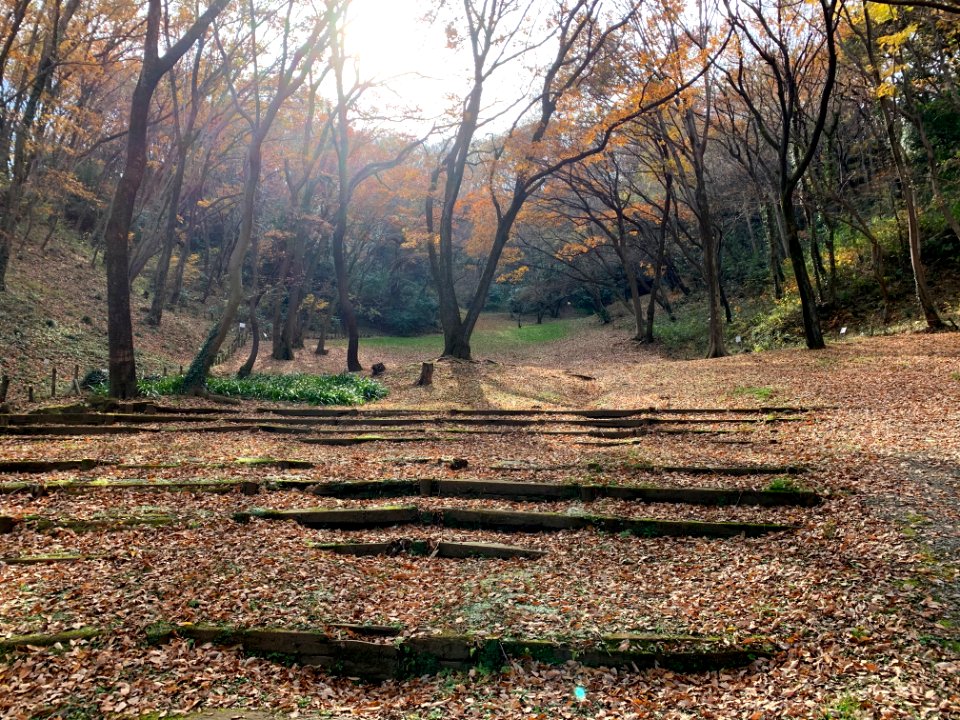 Shiroyama Park in Inagi-shi