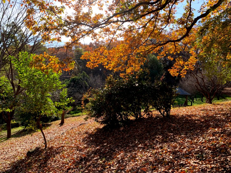 Shiroyama Park in Inagi-shi