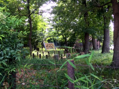 Kurinoki Forest Park in Oizumigakuencho, Nerima-ku photo