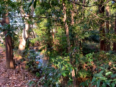 Minamisawa Ryokuchi Conversation Area in Higashikurume-shi