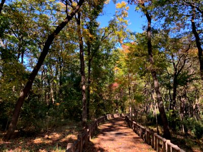 Higashiyamato Park in Higashiyamato-shi photo