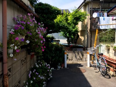 Oizumigakuencho in Nerima-ku