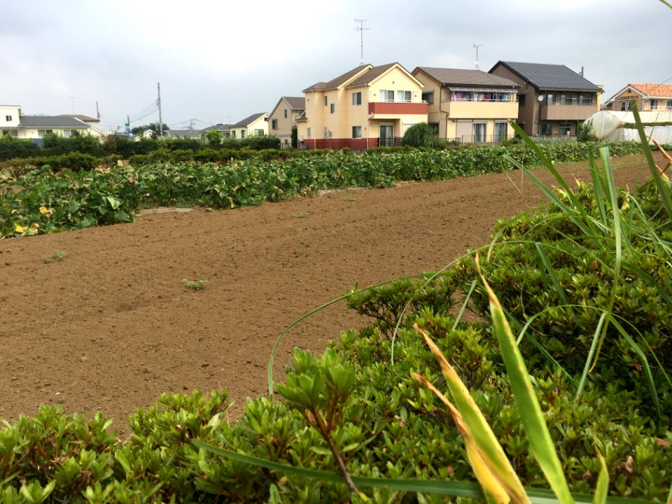 Nakakiyoto in Kiyose-shi