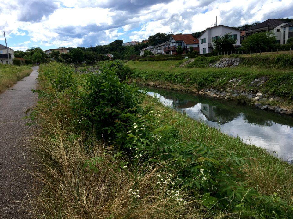 Nakazato in Kiyose-shi