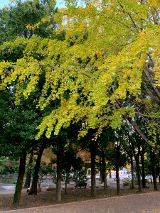 Hikarigaoka Park in Nerima-ku