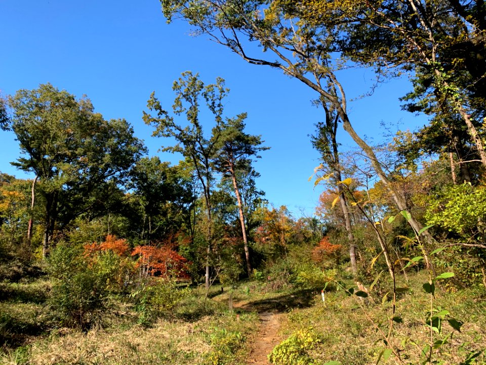 Higashiyamato Park in Higashiyamato-shi