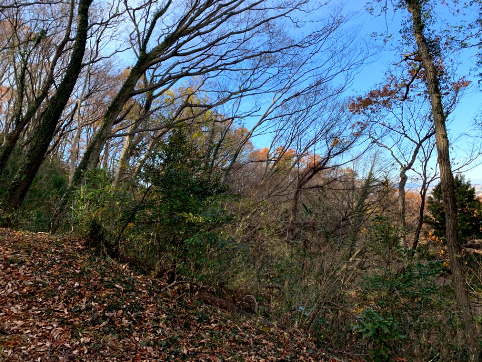 Shiroyama Park in Inagi-shi
