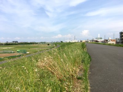 Shingashi in Itabashi-ku