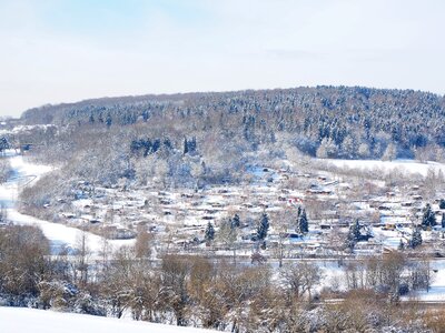 Forest landscape winter