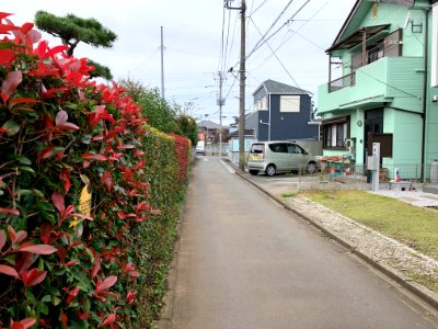 Mitsugi in Musashimurayama-shi