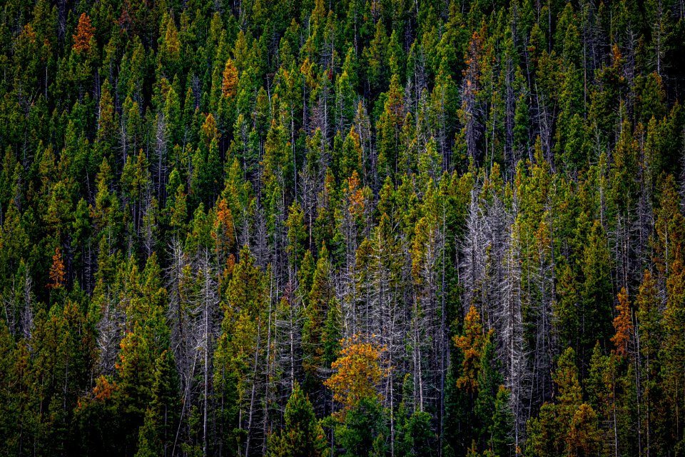 20190910-FS-PJK-00609 TONED