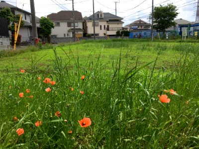 Nishioizumi in Nerima-ku