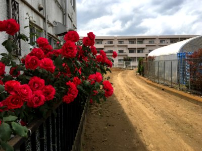 Nishioizumi in Nerima-ku