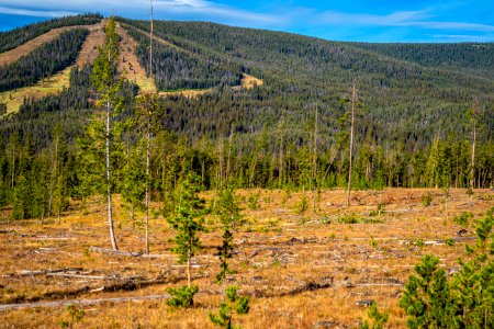 20190914-FS-PJK-05267 TONED